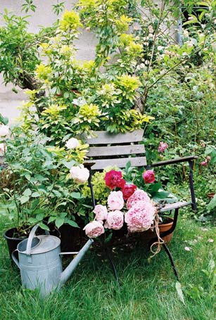 Lauschiges Pl&auml;tzchen im Duftzaubergarten -  umgeben von D&uuml;ften